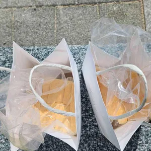 화이트리에 사진