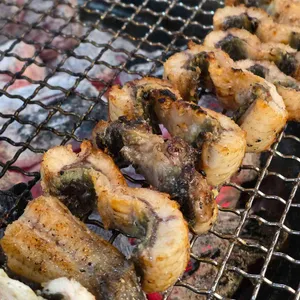 한강민물장어 사진 1