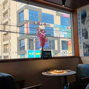 월하화 대표 사진