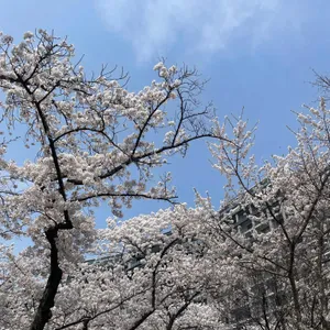 마티나타 대표 사진