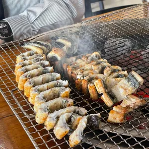한강민물장어 사진