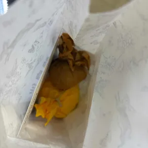 한정선 녹 사진