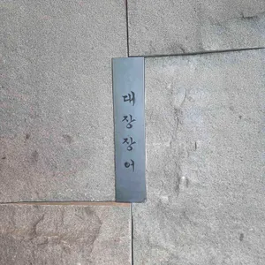 대장장어 사진 2