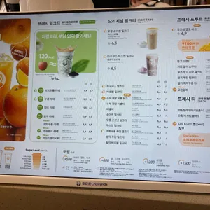 차백도 리뷰 사진