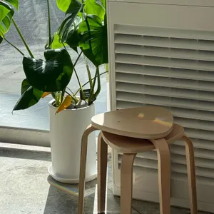 케코 대표 사진