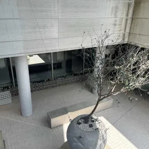 수린 대표 사진