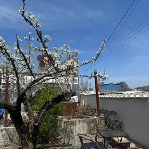 배꽃길61 사진 1