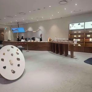 텅 플래닛  대표 사진