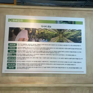 와싸오리 리뷰 사진