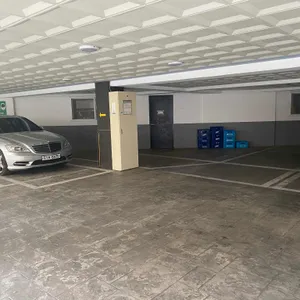 와싸오리 리뷰 사진