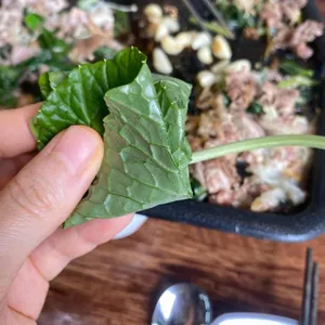 와싸오리 대표 사진