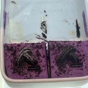 투썸플레이스 사진