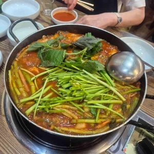 메기대감 사진 1