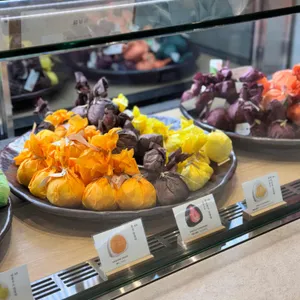 한정선 녹 대표 사진