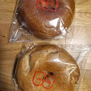 포비 사진