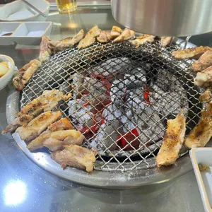 은화계 대표 사진