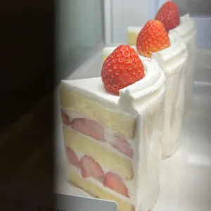 커밍베이크샵 사진 2