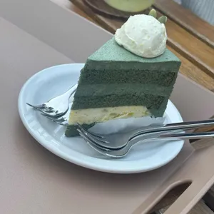 커민 사진