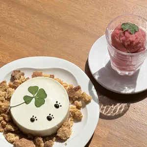 Osds 연남 대표 사진