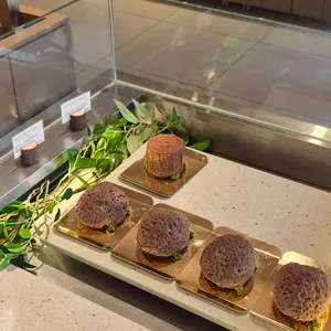 씨드그린 사진 1