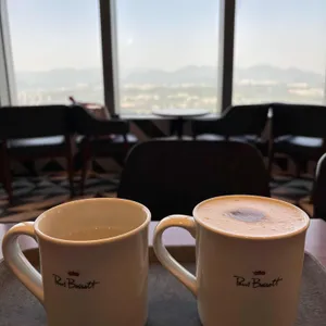 폴 바셋 리뷰 사진