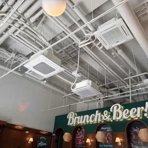 앨리스피맥 대표 사진