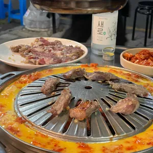 진미갈매기 사진 1