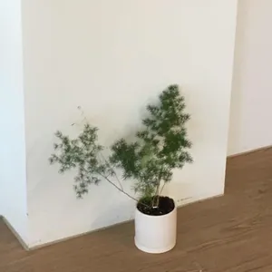 포포 리뷰 사진