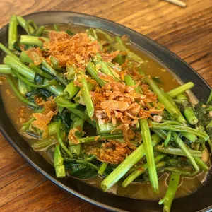 엘리펀트 사진
