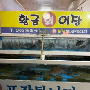 황금어장 리뷰 사진