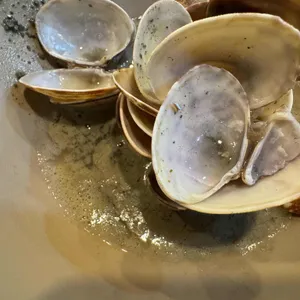 본토칼국수 사진 1