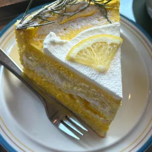 커닝 사진