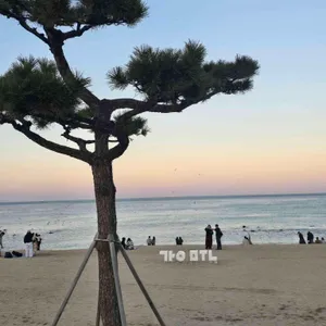강릉감자닭강정 대표 사진
