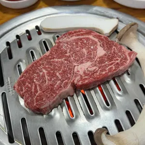 뜨락 사진