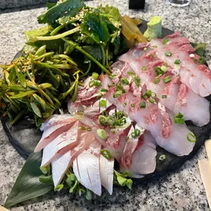 볼하이 사진