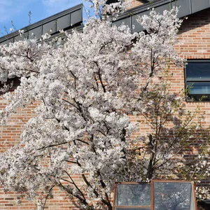 어 로프 슬라이스 피스 대표 사진