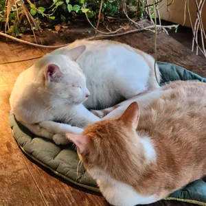 식물원K 대표 사진