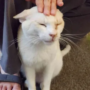 식물원K 대표 사진