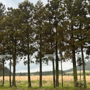 블루보틀 사진 1