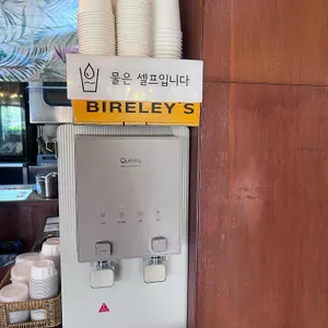 반치앙마이 리뷰 사진