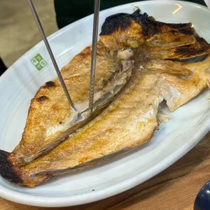아싸살아있네 사진