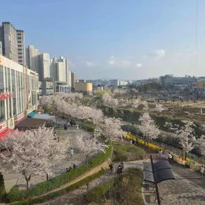 퍼머넌트칠린 대표 사진