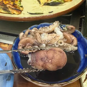 피문어와 회나라 사진