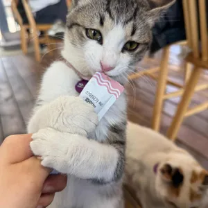 커피먹고가세 사진 1