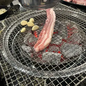 황소고집 사진