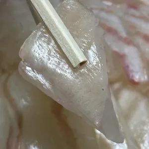 영재수산 사진