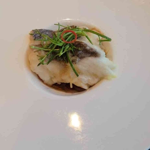 팔레드 신 리뷰 사진