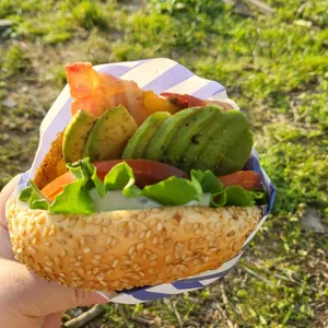 다운타우너 대표 사진