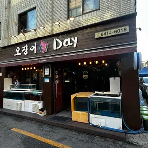 오징어데이 대표 사진