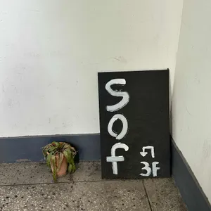 소프 리뷰 사진